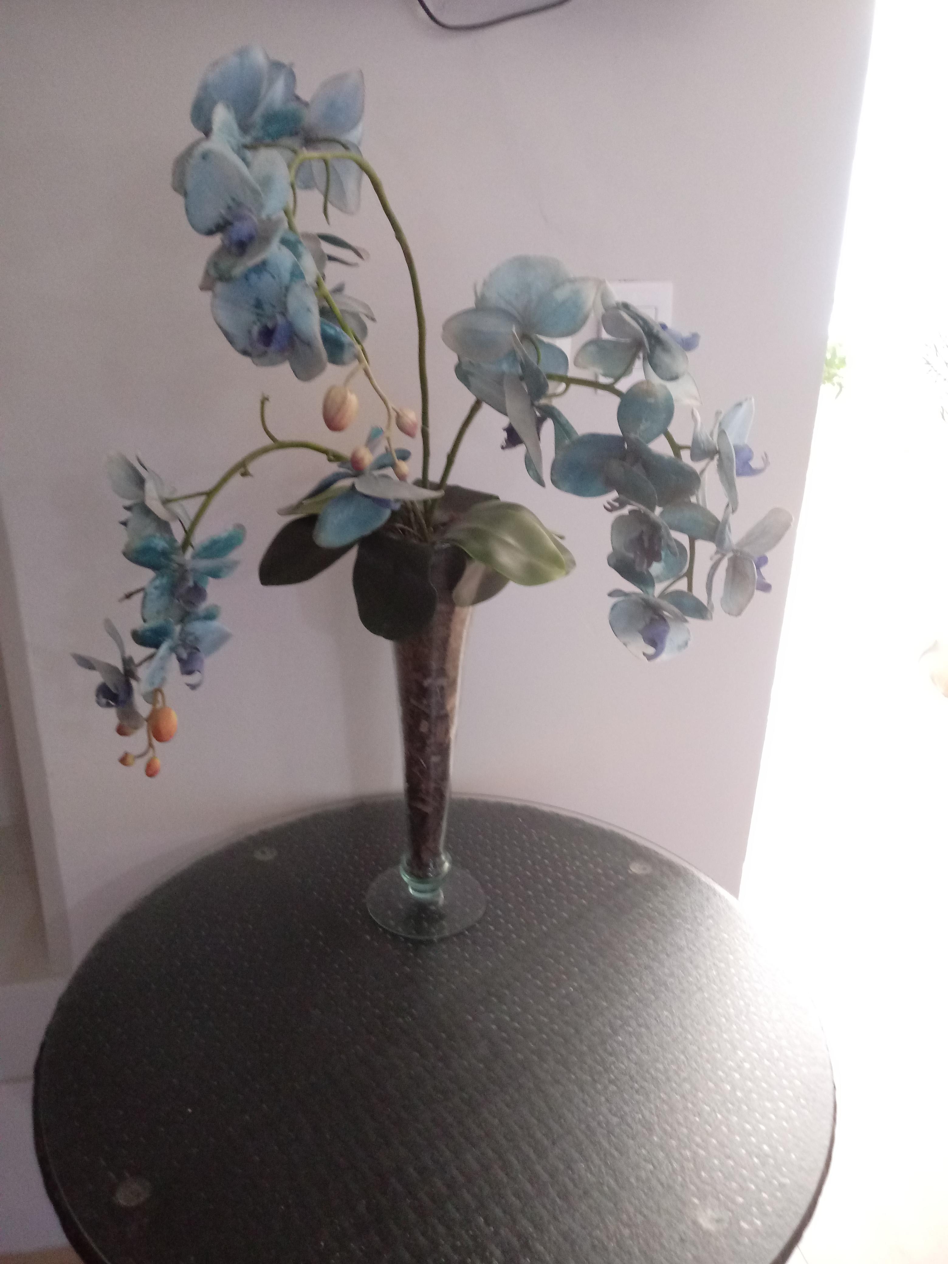 Areia Da Fortaleza (Ceara)